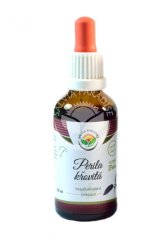 Perila křovitá AF tinktura 50 ml, SALVIA PARADISE