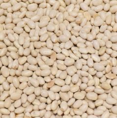Fazole bílá malá 3 kg