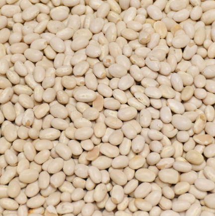 Fazole bílá malá 3 kg